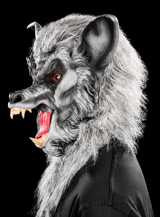 Produktbild Fun World Division Werwolf grau