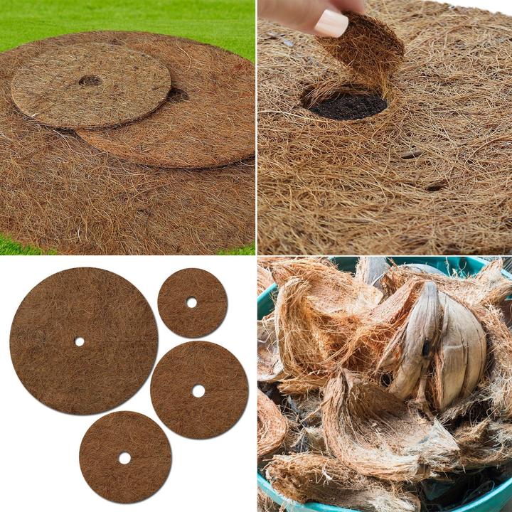 Immagine prodotto Casa Pura Mulchscheiben