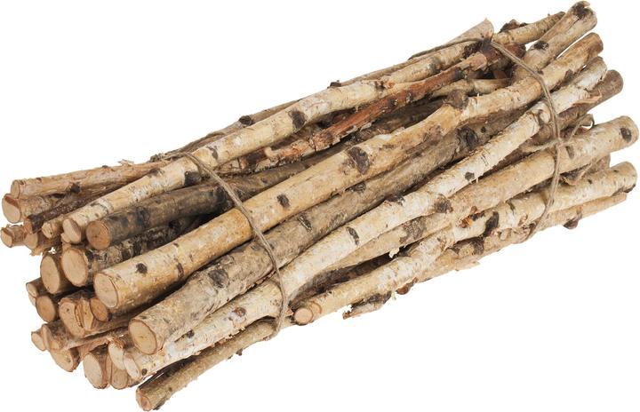 Actual product image Opiflor Birch branches bundled 1-2.5 x 50 cm