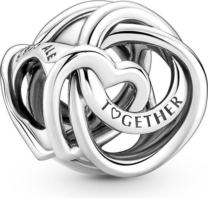Actual product image Pandora Charm Family Forever (Sterling silver 925)