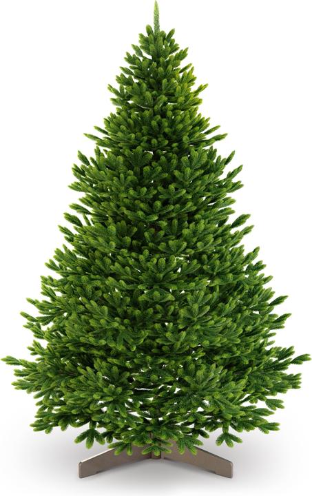 Artitree Albero di Natale da 150 cm con supporto in legno FSC (150 cm)