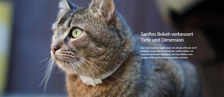 Actual product image Sony FE 55mm f/1.8 ZA Zeiss Sonnar T (Sony E, full size)
