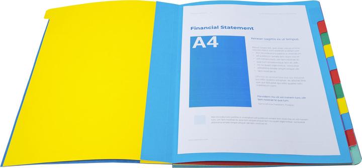 Actual product image Exacompta HARMONIKA - A4 file folders (A4, 1 x)