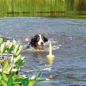 Produktbild Trixie Dog Activity Mot-Aqua 29cm (Wurfspielzeug Hund)