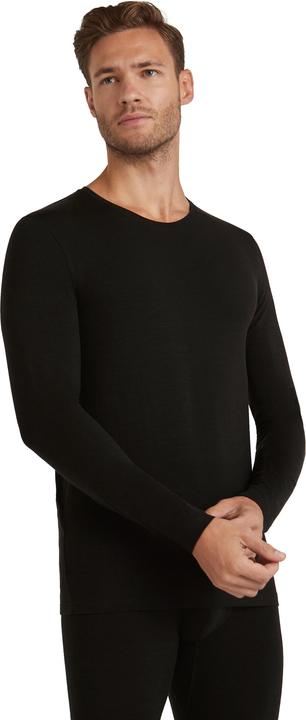 Falke Herren (M)