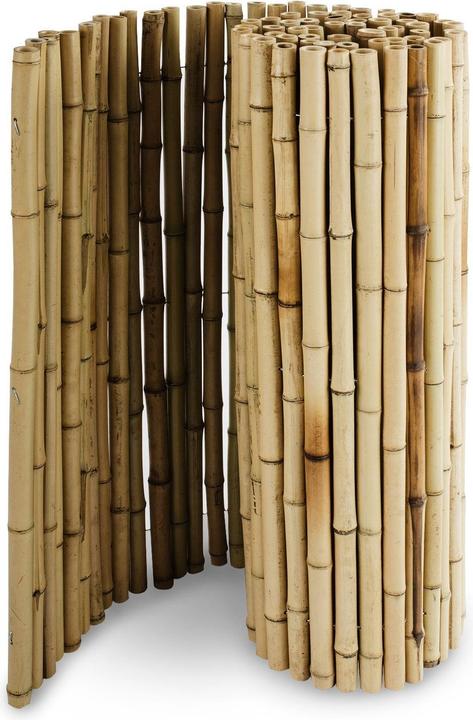 Immagine prodotto Casa Pura Bambus-Sichtschutzzau (250 cm)