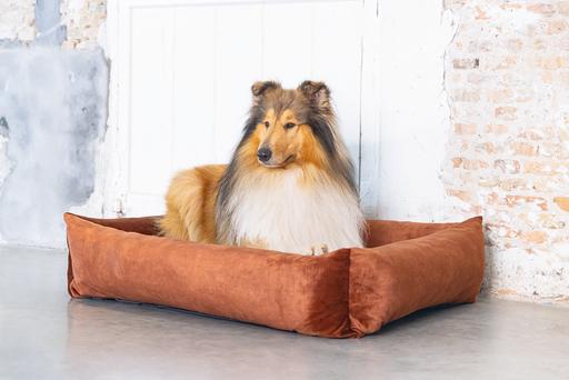Produktbild Designed by Lotte Ribbed (Hund)