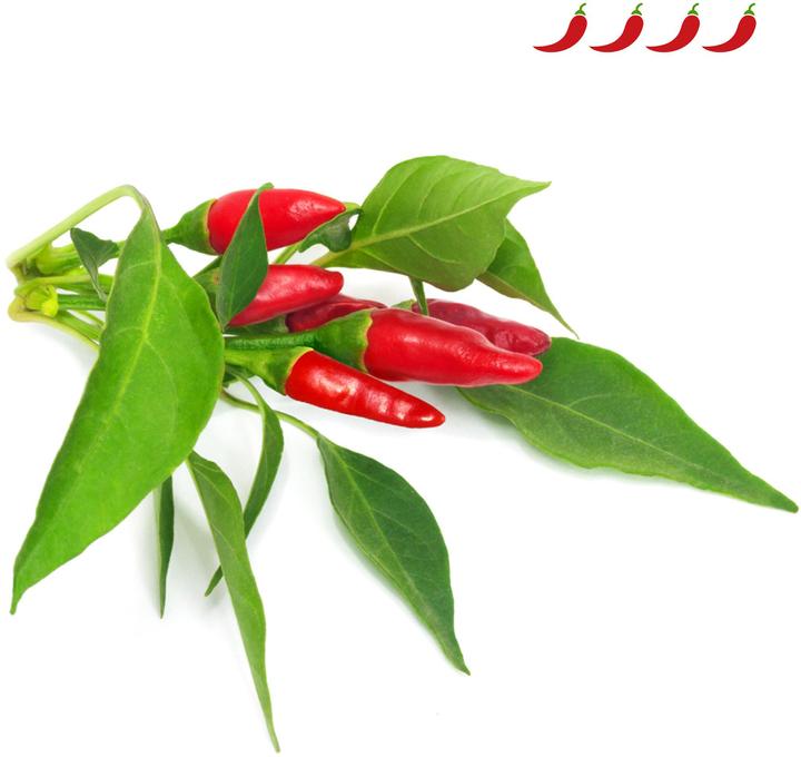 Immagine prodotto Click and Grow Piri piri peperoncino (Semi di verdura)