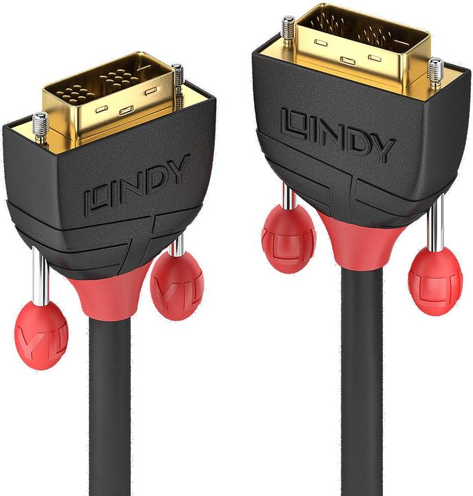 Actual product image Lindy Dvi — Dvi (2 m, DVI)