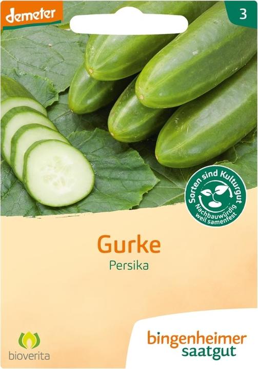 Bingenheimer Saatgut Freilandgurke Persika (Keimlinge)