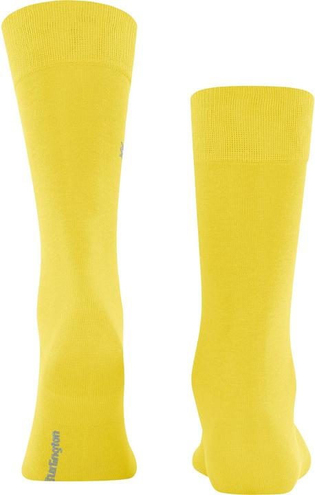 Immagine prodotto Burlington Dublino SO (40 - 46)