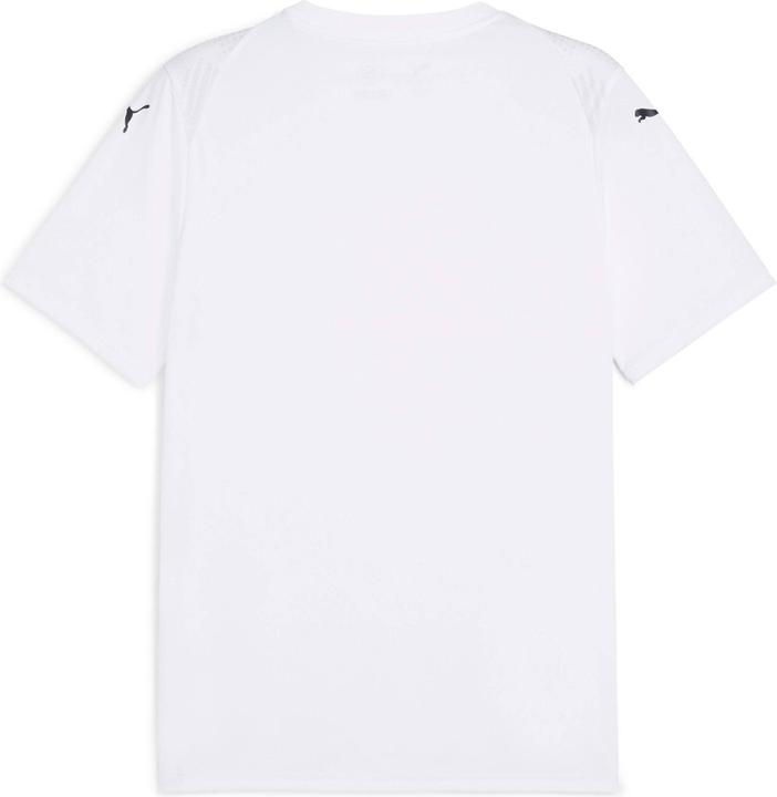 Actual product image Puma teamULTIMATE Jersey (M)