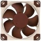 Actual product image Noctua Nf-A8 Flx (80 mm, 1 x)