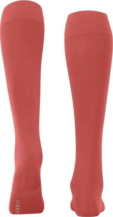 Actual product image Falke Knee socks (Single pack, 35 - 38)