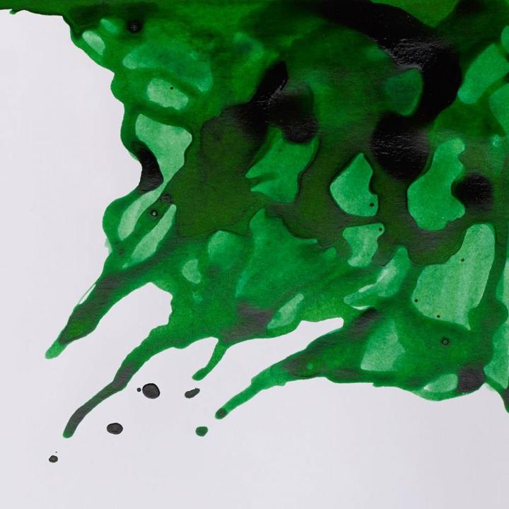Actual product image Winsor & Newton Drawing Ink 14ml Brilliant Green 046 (Brilliant Green, 14 ml)