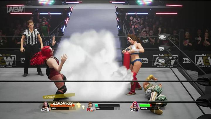 Image du produit THQ AEW : Fight Forever (PS5, EN)