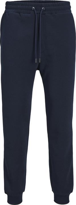 Actual product image Jack & Jones Gordon Bradley Sweatpants (M)