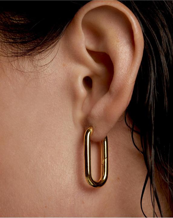 Actual product image Pd Paola Creolen (925 brass)