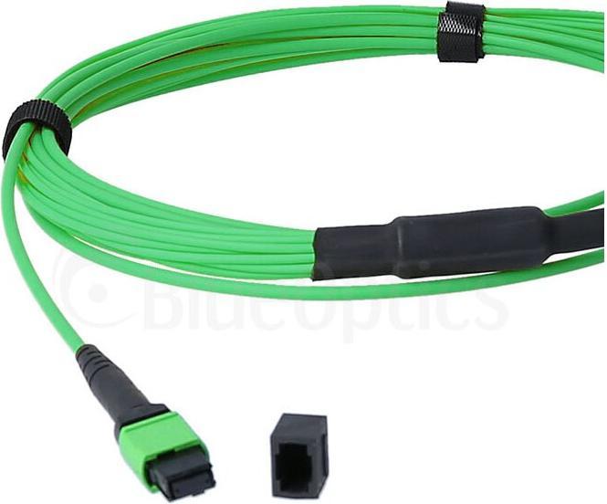 Immagine prodotto BlueOptics Cavo di breakout duplex MTP/8xLC in fibra ottica OM5 da 10 metri (10 m)