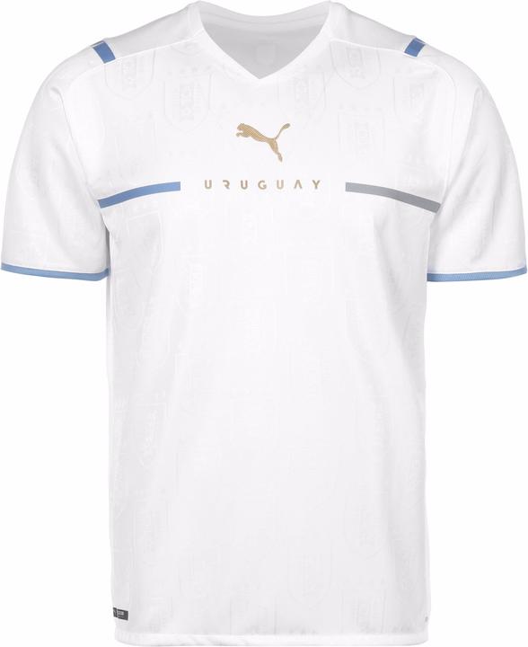 Puma Uruguay Trikot Away Copa América 2021 Herren (L)