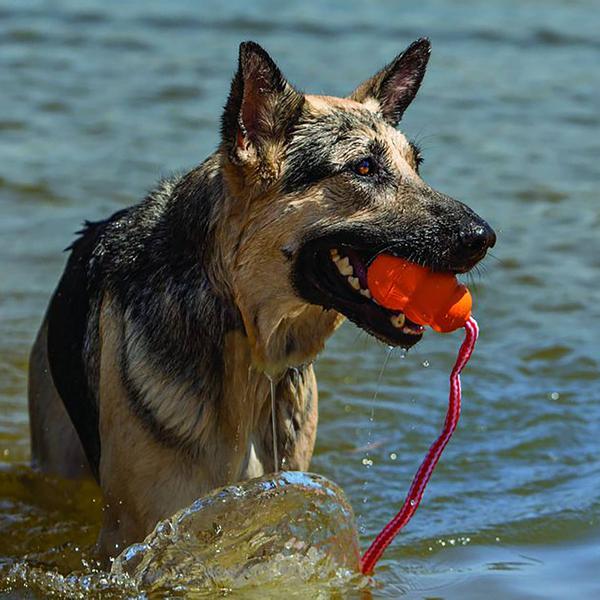 Actual product image KONG Aqua (Retrieval)