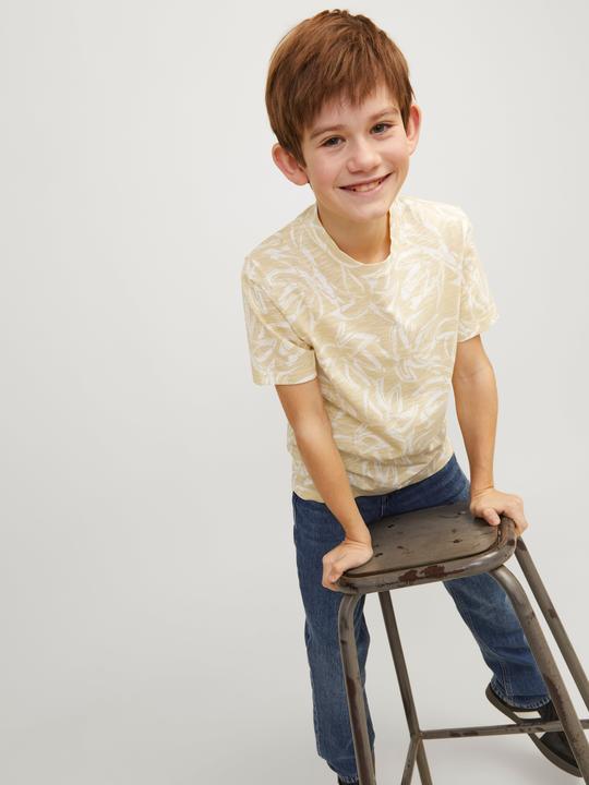 Immagine prodotto Jack & Jones Jorlafayette Aop Tee Ss Crew Neck Jnr (152)