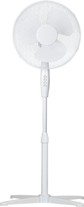 Actual product image Lifetime Air Fan Standing