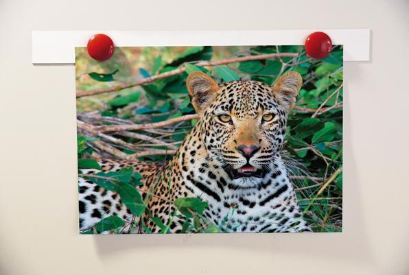 Immagine prodotto Eduplay Nastro magnetico flexo 10 m x 35 mm