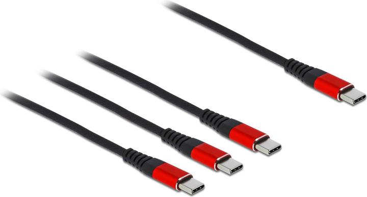 Actual product image Delock USB C – USB C (0.30 m, USB 2.0, 5 W)
