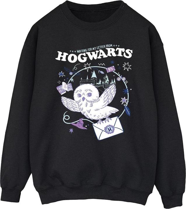 Produktbild Owl Letter From Hogwarts Sweatshirt (XL)
