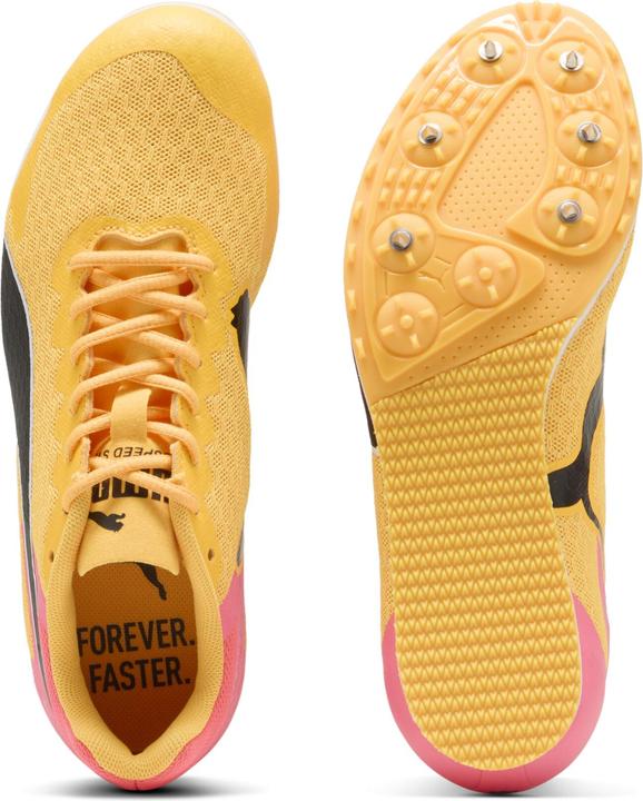 Image du produit Puma evoSPEED Star 9 Junior (35)