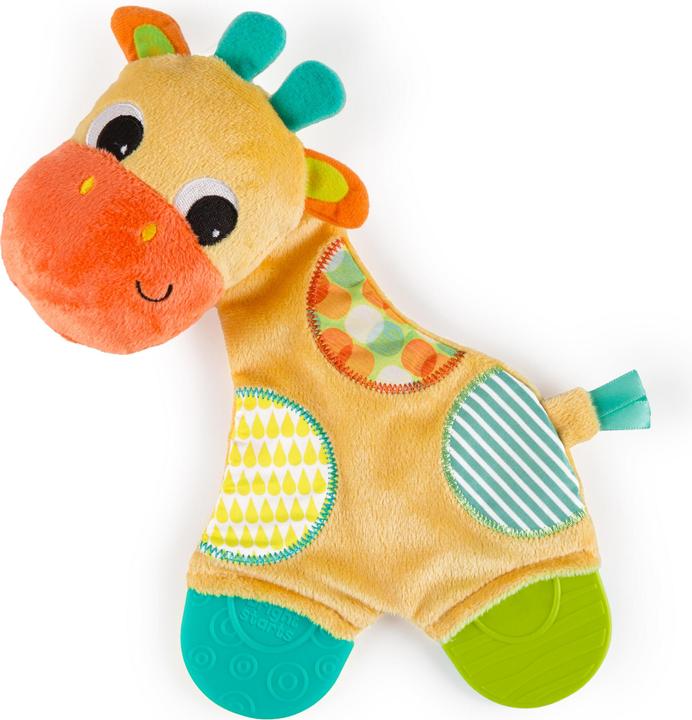 Actual product image Bright Starts Snuggle & Teethe