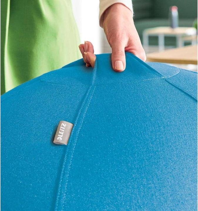 Actual product image Leitz Ergo Cosy Active sitting ball (65 cm)