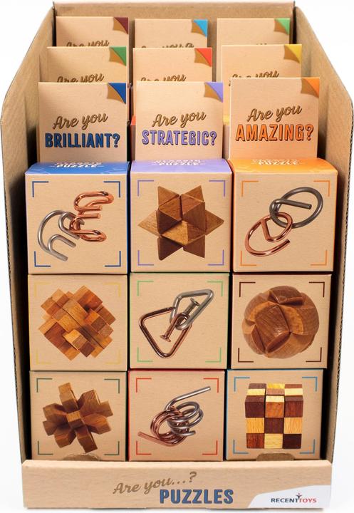 Immagine prodotto Recent Toys Giochi di puzzle in metallo/legno (27) (9 pezzi)