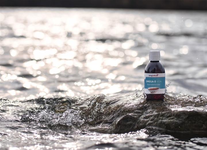 Produktbild Kingnature Omega-3 (1 Stück, Flüssigkeit, 260 g)