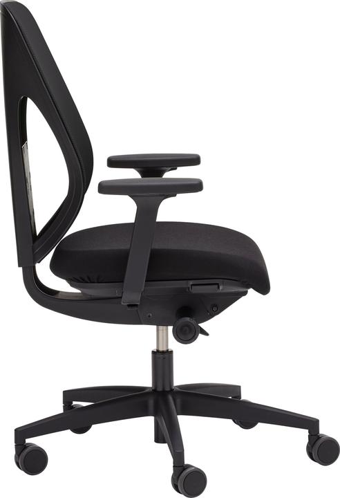 Actual product image Giroflex 353 Netzrücken