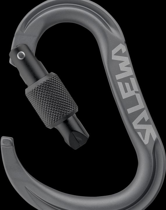 Produktbild Salewa Ortles Hms M Carabiner