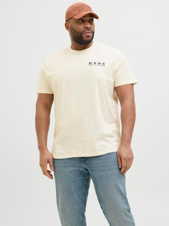 Actual product image Jack & Jones Plus Size Rückenprint T-shirt T-shirt (4XL)