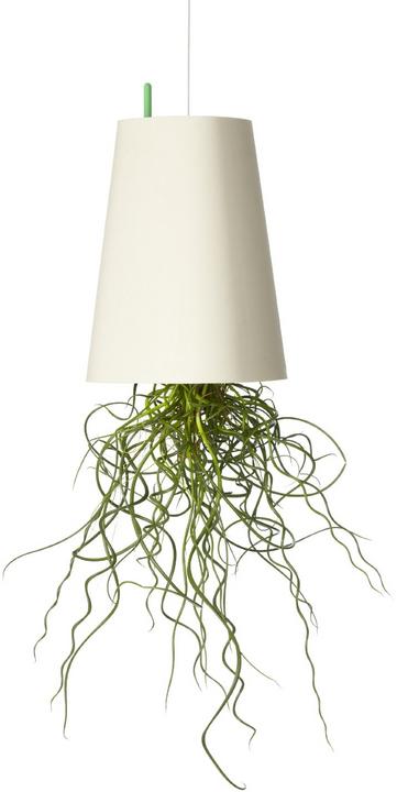 boskke Sky Planter Medium