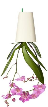 Image du produit boskke Sky Planter Small