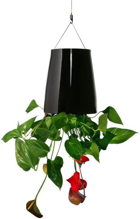 Actual product image boskke Sky Planter Ceramic Medium (20 cm)
