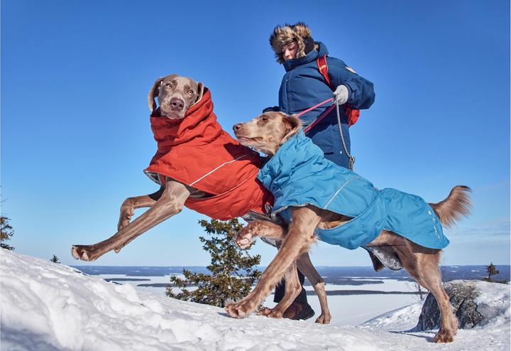Actual product image Hurtta Extreme Warmer V3 Eco Blue, 55 cm (55, Dog coat)