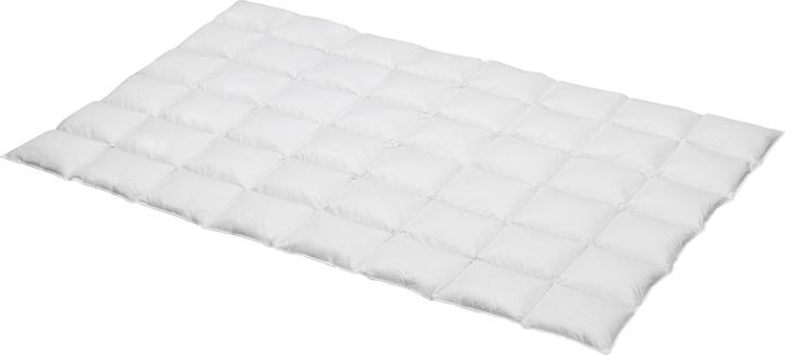 Actual product image Erwin Müller Vancouver (440 g, 135x200 cm)
