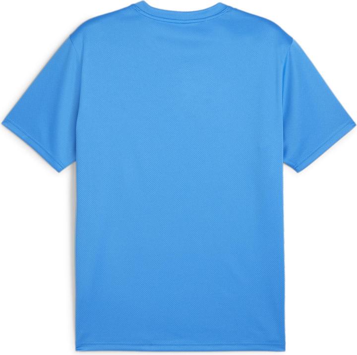 Actual product image Puma teamGOAL Jersey (M)
