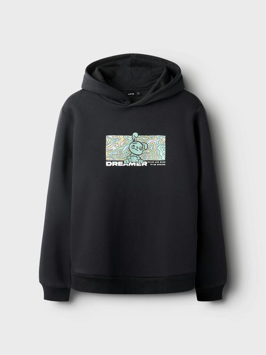 Image du produit Lmtd Loose Fit Hoodie (146)
