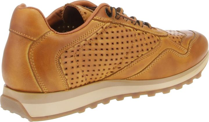Immagine prodotto Cetti C-848 EXP INV25 (46)
