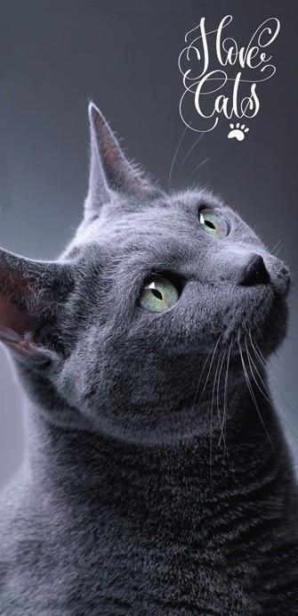Produktbild Carbotex Katze Badetuch (70 x 140 cm)