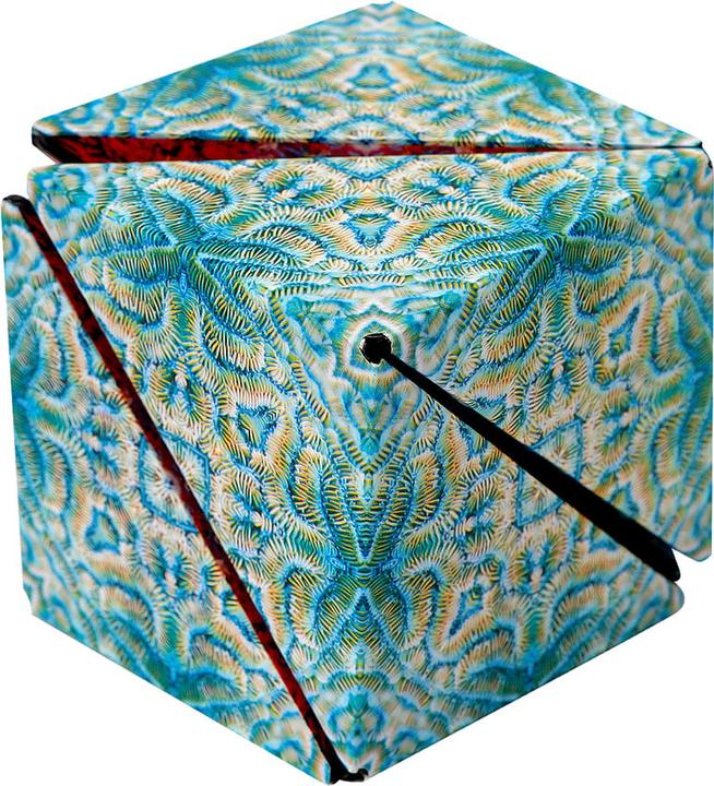 Image du produit Shashibo Cube Undersea (Multilingue)