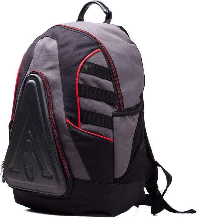 Assassin's Creed Technical Backpack With Gold Foil Print