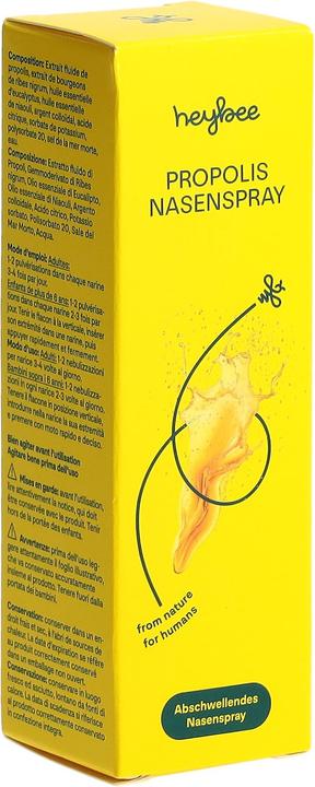 Actual product image Heybee Propolis (1 Piece)